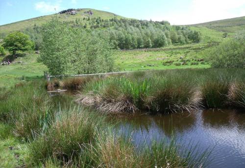 The Valley of Desolation